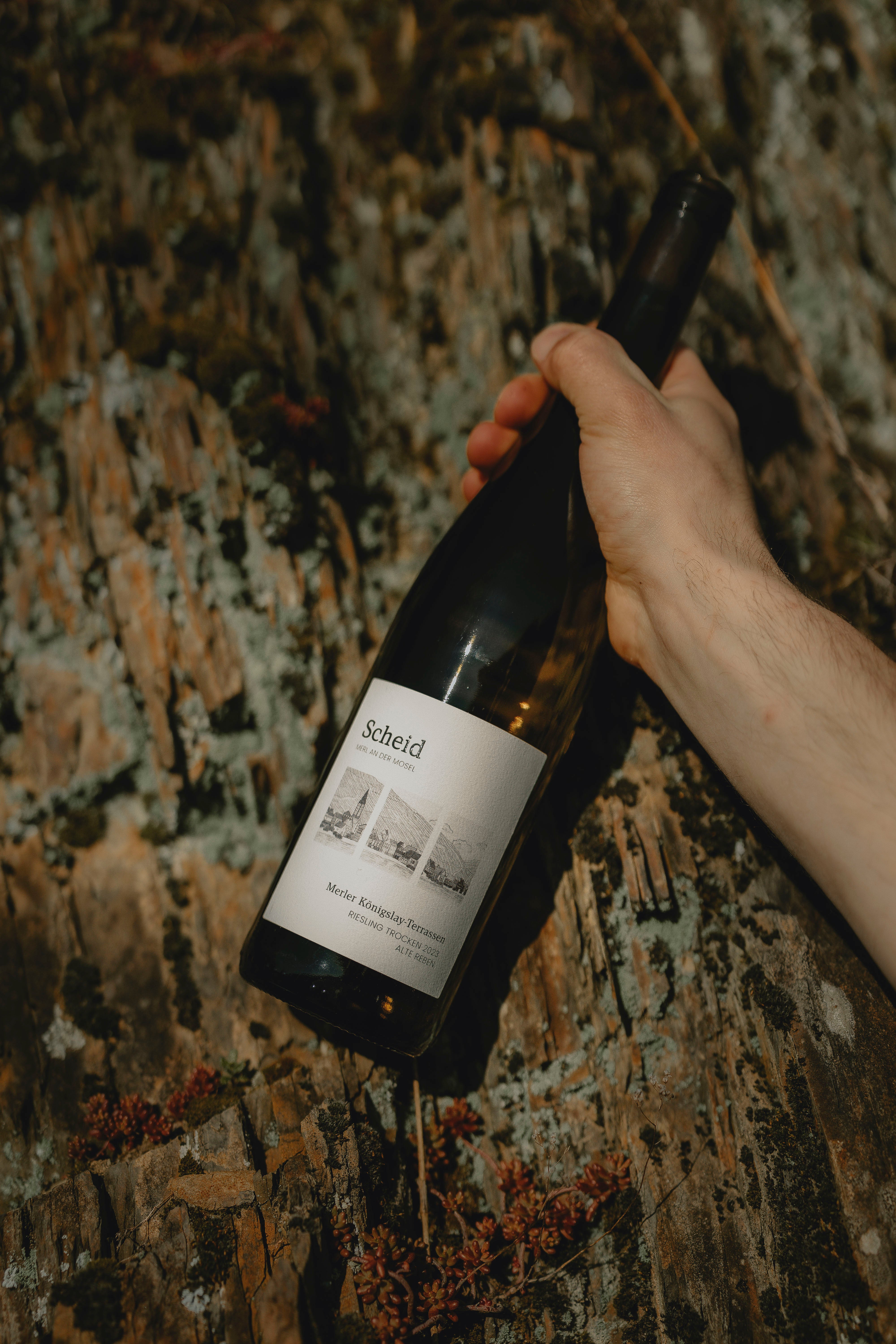 Biologischen Riesling Deutschland Mosel kaufen