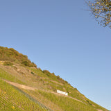 Merler Königslay-Terrassen - Riesling trocken 2023