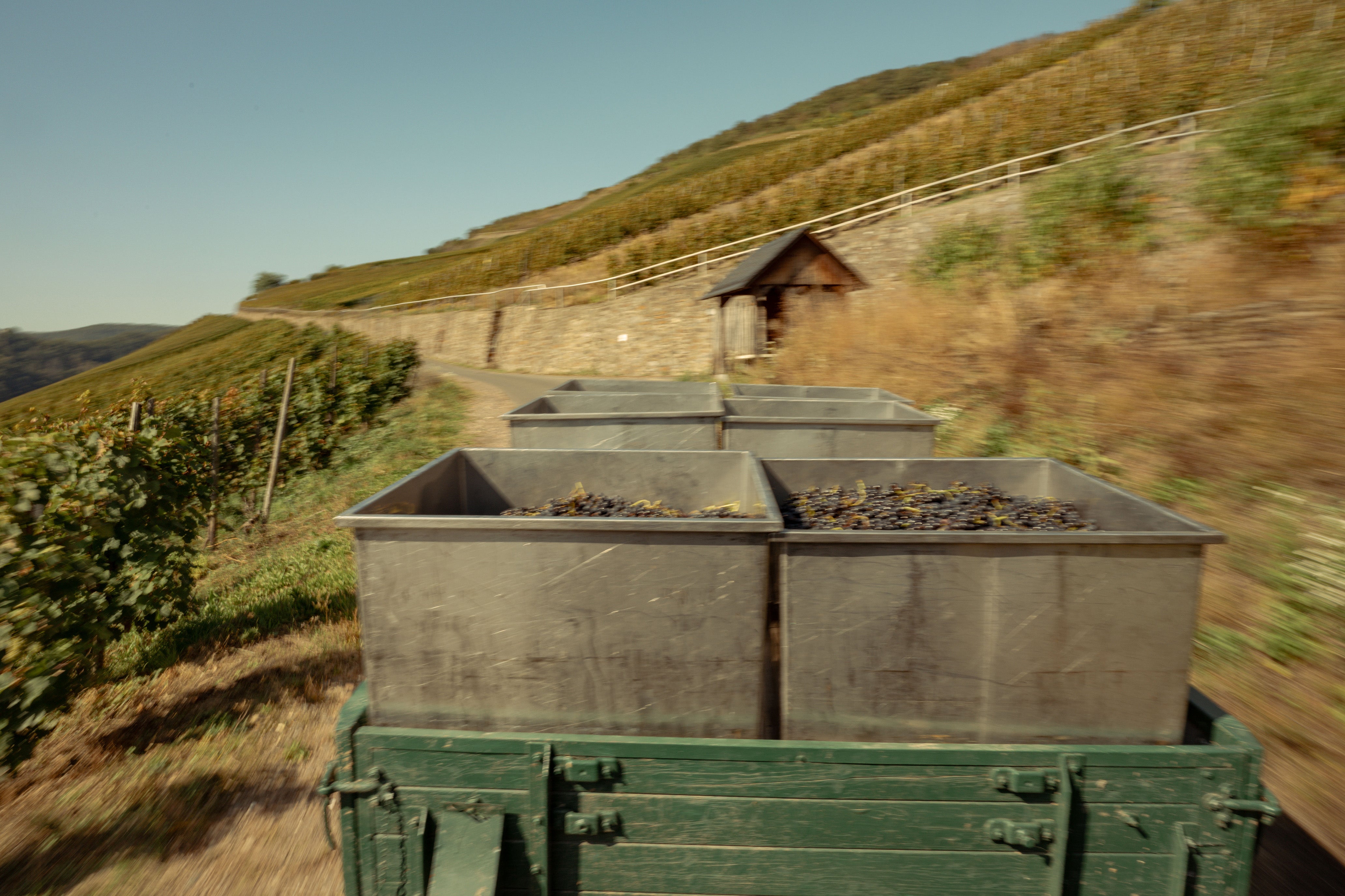 Deutsche Mosel Weine Familienweingut