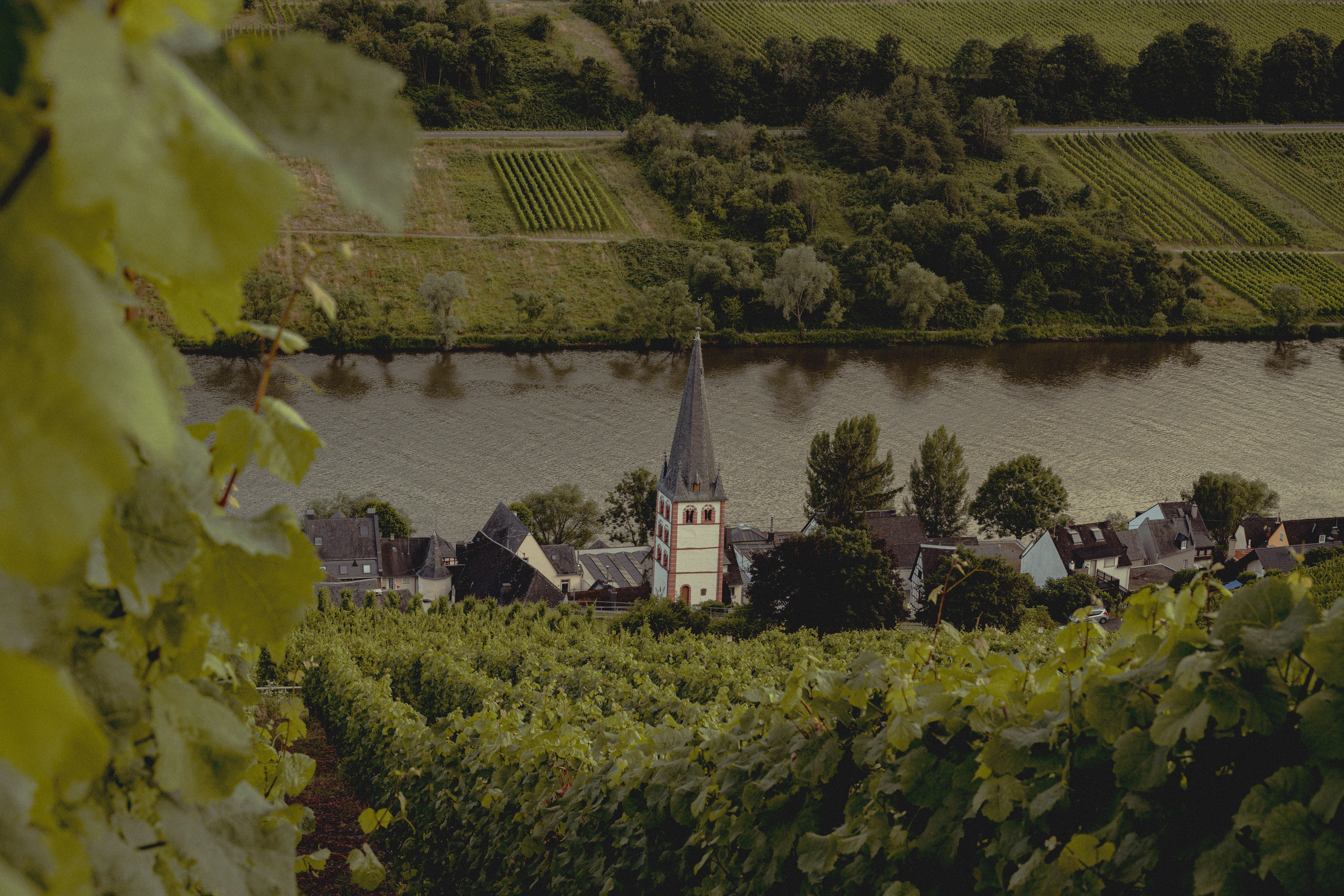 Merl Zell Mosel Deutscher Wein Scheid
