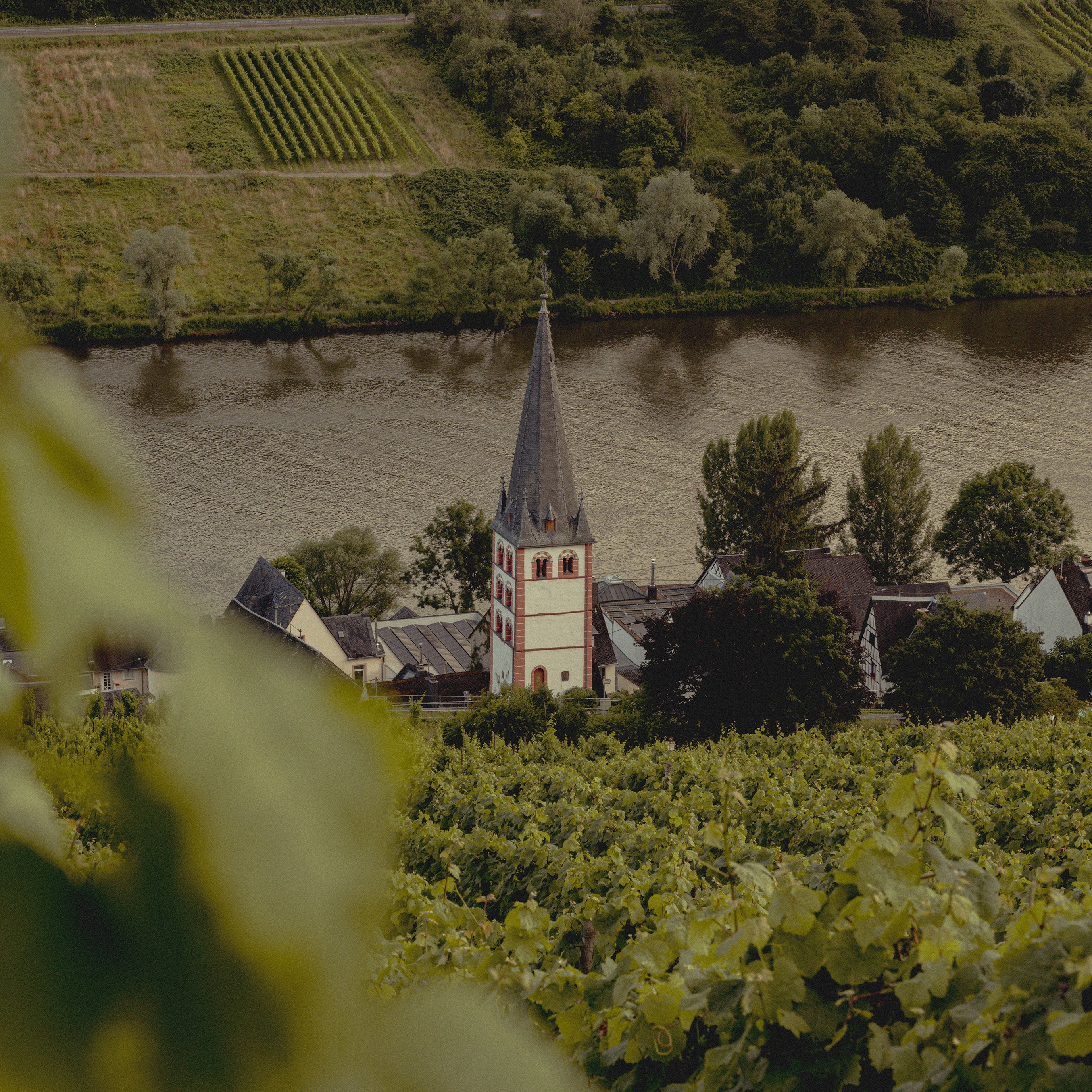 Merl Zell an der Mosel Weingut Scheid